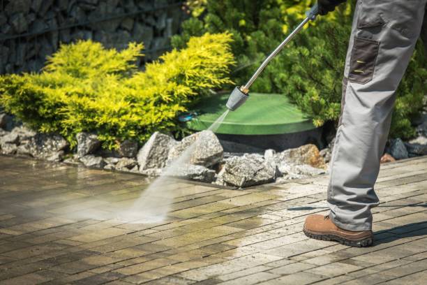 Best Driveway Pressure Washing  in Morgantown, WV