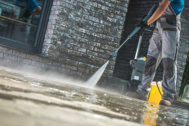 Best Roof Washing  in Morgantown, WV